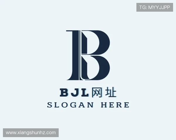 了解BJL网址
